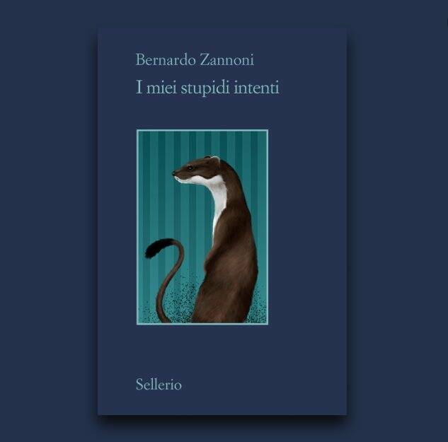 'I miei stupidi intenti', di Bernardo Zannoni