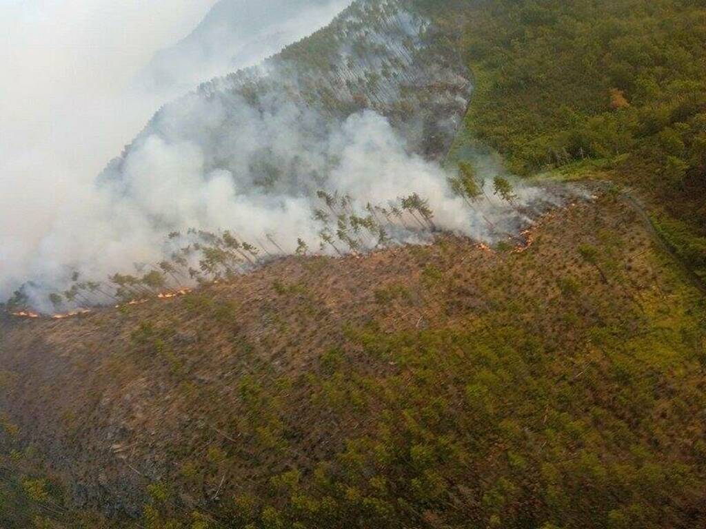 Un vasto incendio divampa nei boschi di Framura a Ferragosto
