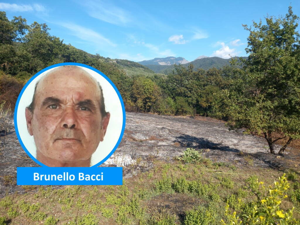 Brunello Bacci