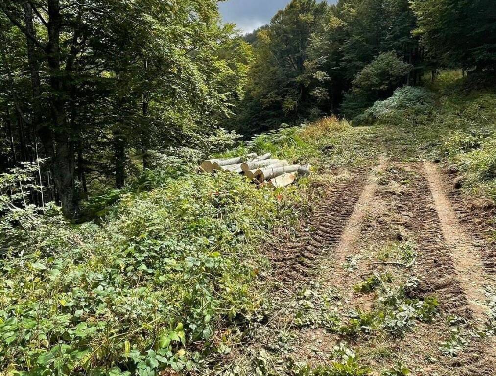 I lavori alla pista Vallefonda a Cerreto Laghi