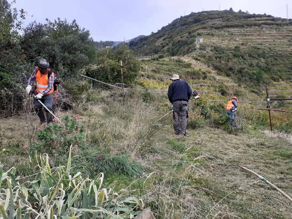 Al via i preparativi per il 60° Presepe luminoso di Manarola. Foto di Cai La Spezia (pagina Facebook)