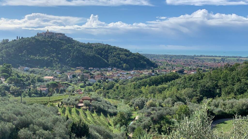 Colline di Luni