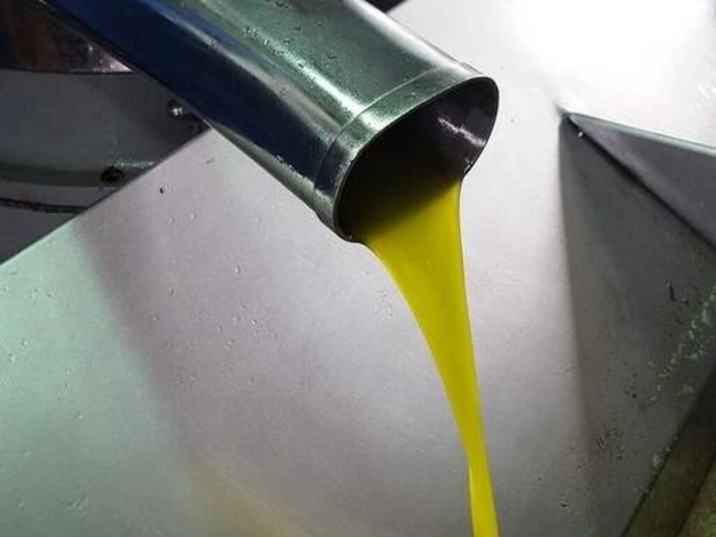 Produzione di olio