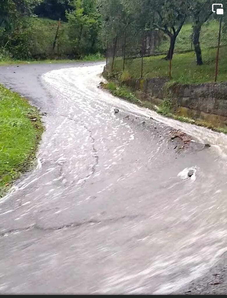 Strade nei quartieri, immagini trasmesse da Forza Italia