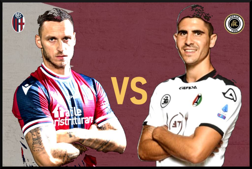 Arnautovic VS Erlic