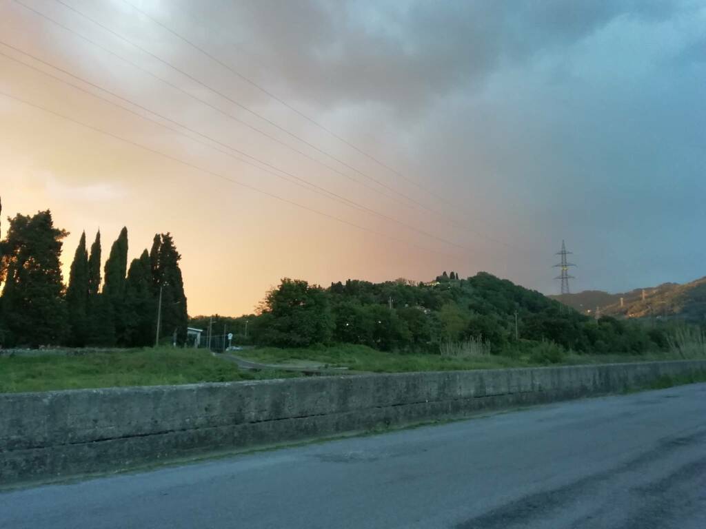 Viale Alfieri lungo il Torrente Calcandola a Sarzana