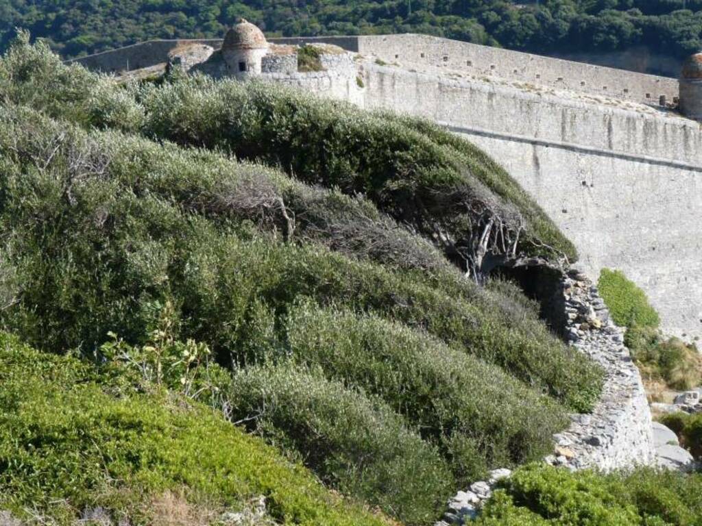 Porto Venere, La Crocetta (2021) (foto Fabio Giacomazzi)