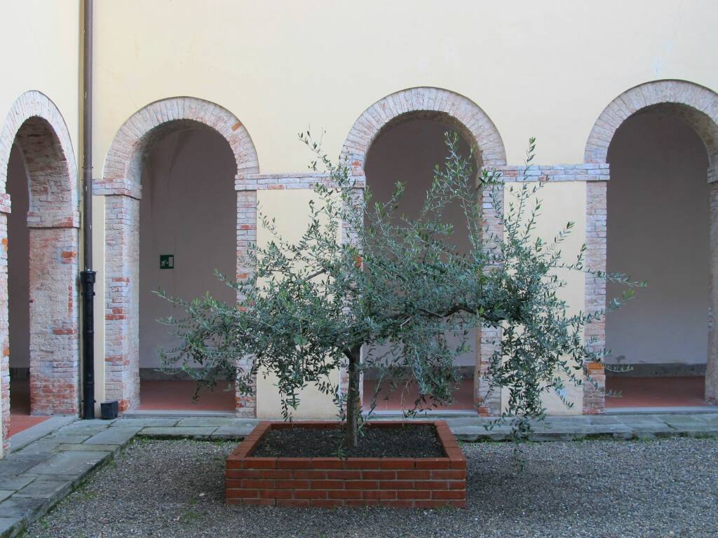 San Francesco Grande, il chiostro (2012) (foto Giorgio Pagano)