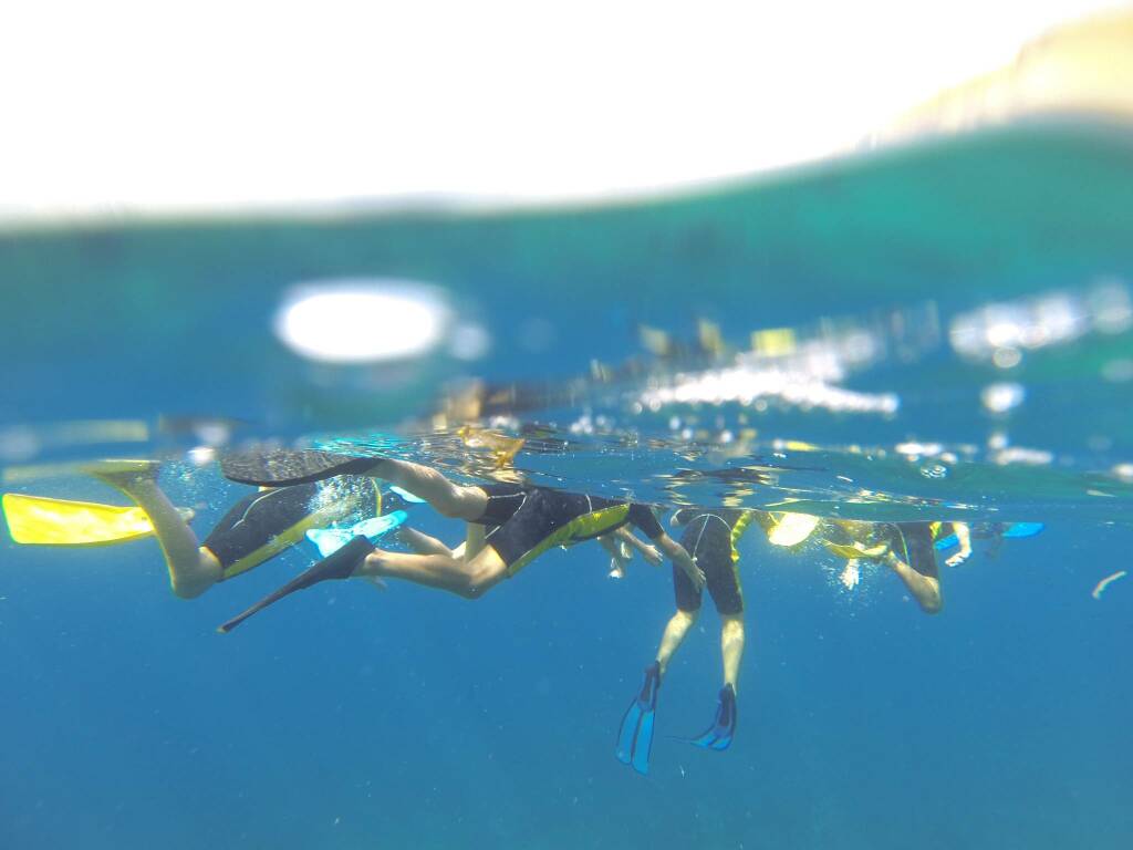 Fondali Cinque Terre, snorkeling, Seatrek