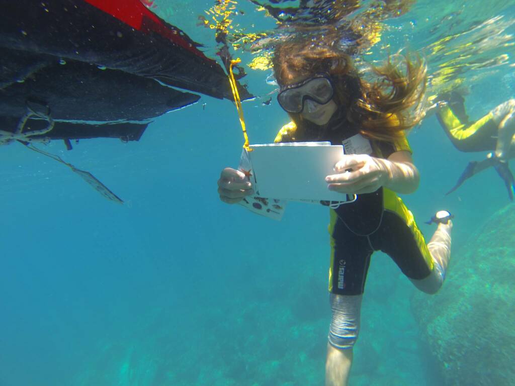 Fondali Cinque Terre, snorkeling, Seatrek