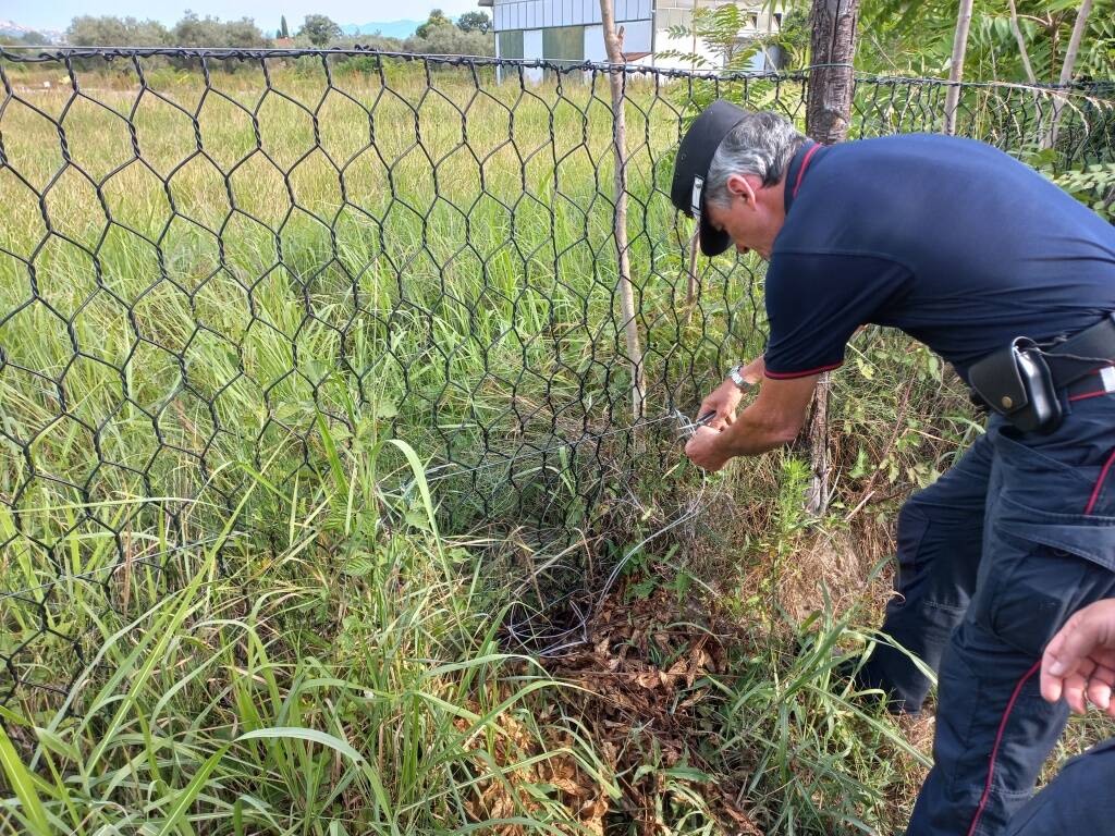 Bracconieri in Val di Magra, Carabinieri forestali indagano