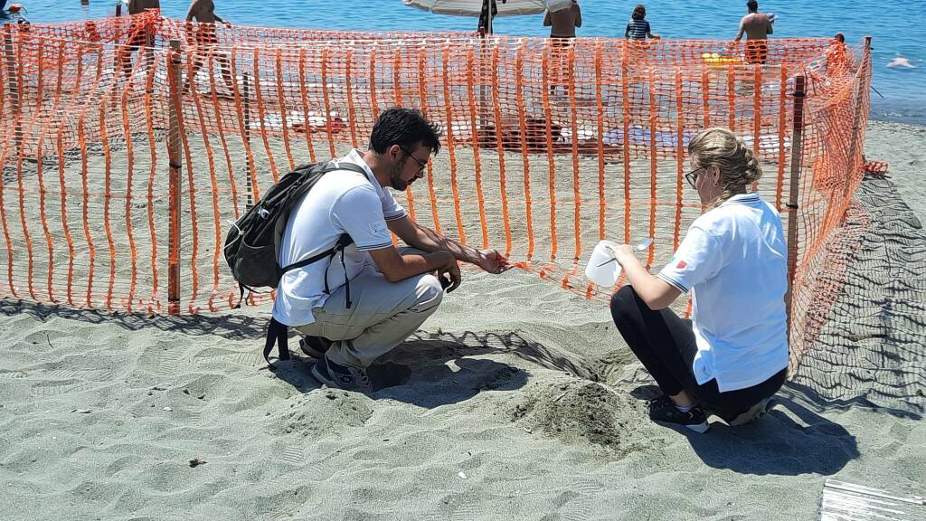 I volontari che vigilano sul nido di tartaruga marina a Levanto