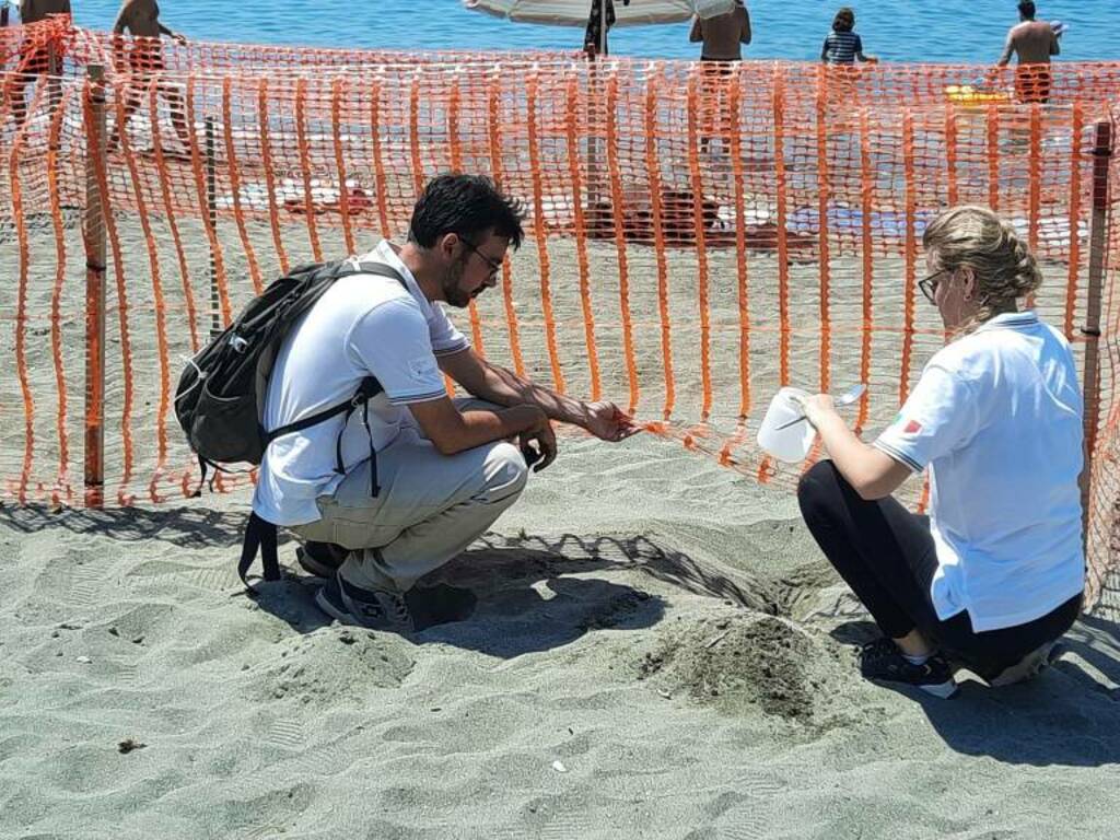 I volontari che vigilano sul nido di tartaruga marina a Levanto