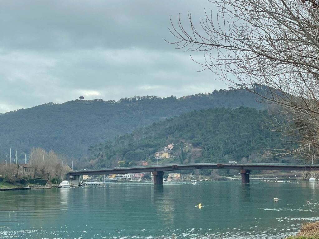 Ponte della Colombiera 