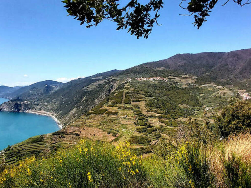 Anfiteatro di Manarola